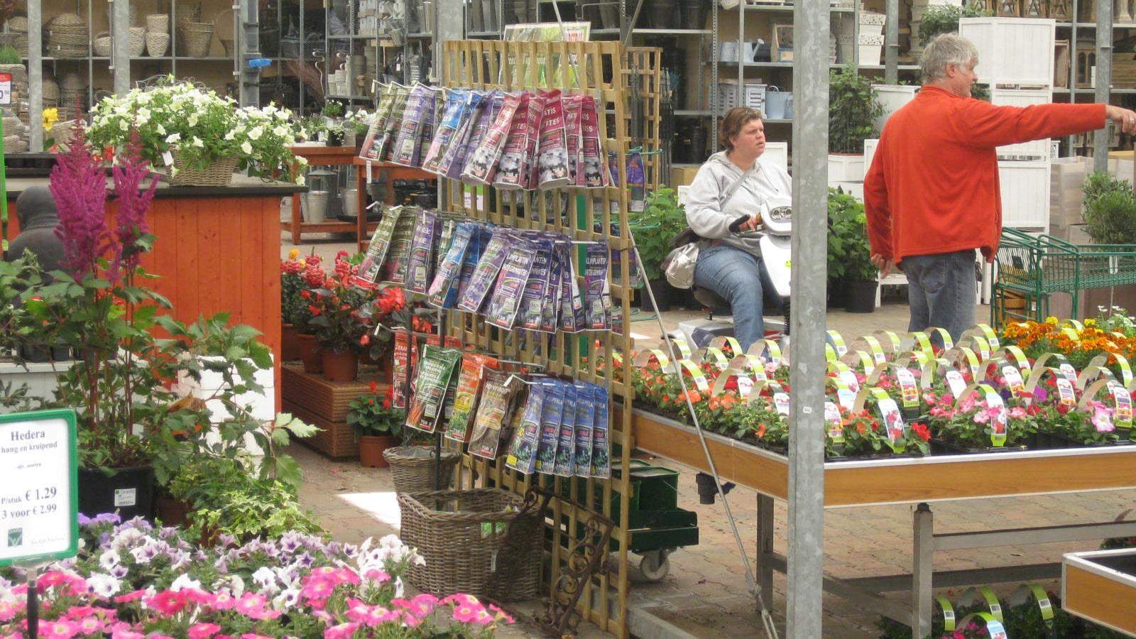 Blomsterløg på stativ og farverige blomster i havecenteret Groenrijk